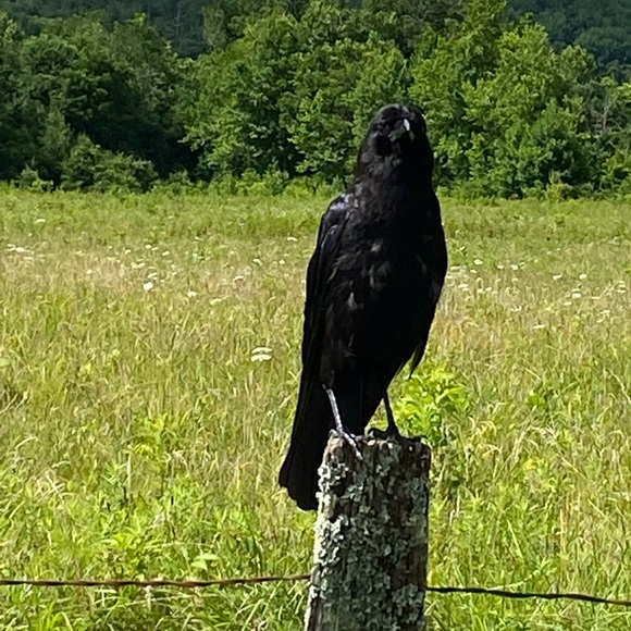 Meet your Posher, Kevin - Picture 1 of 1